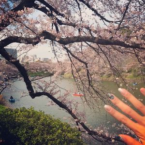 天堂一区二区三区在线观看
