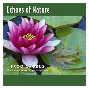 天堂一区二区三区在线观看
